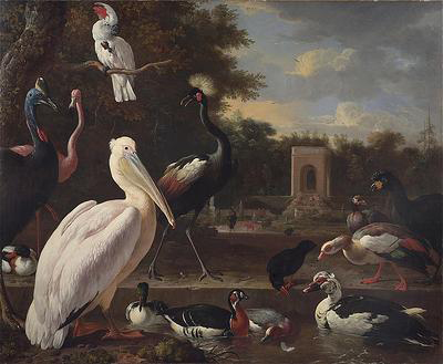 A Pelican and other exotic birds in a park